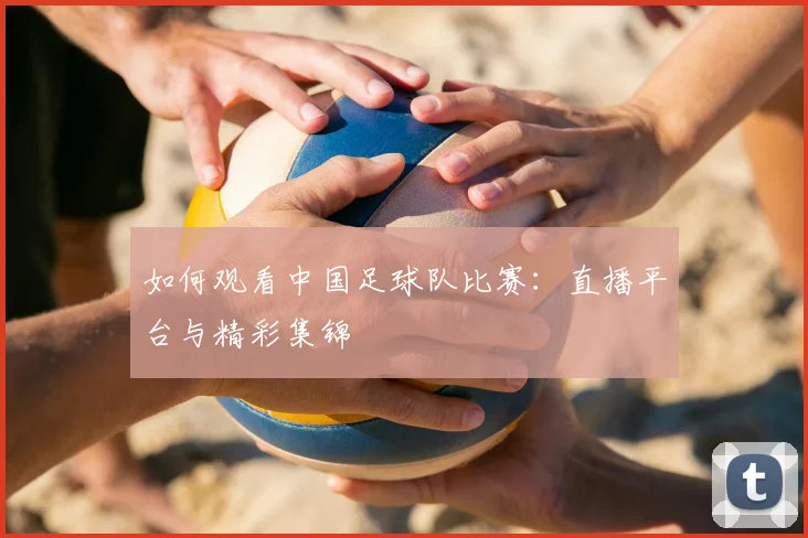 如何观看中国足球队比赛：直播平台与精彩集锦