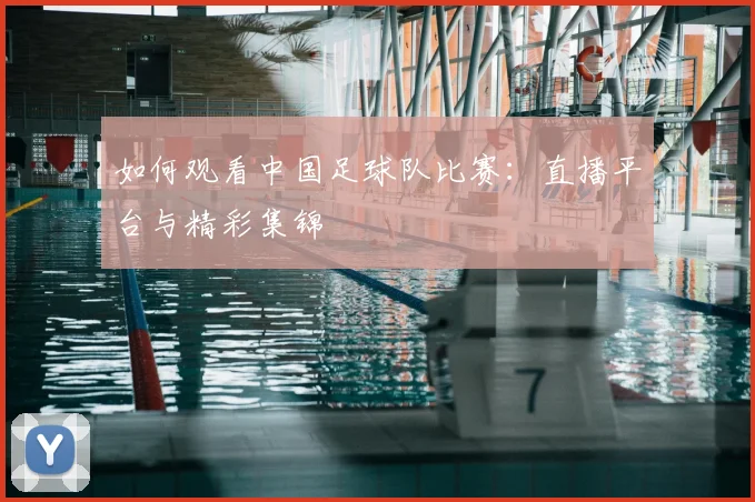 如何观看中国足球队比赛：直播平台与精彩集锦